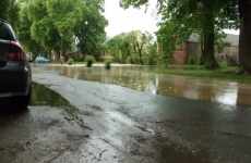 Einsatz - Elsholzer Dorfteich